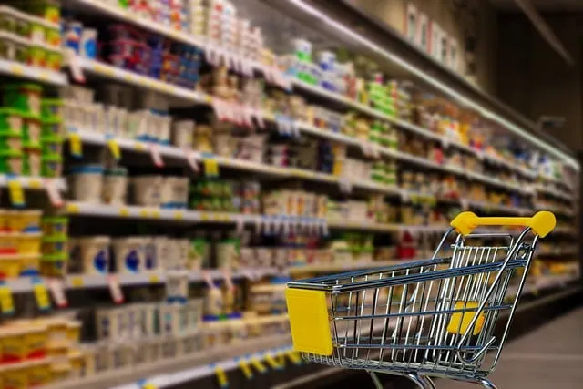Estratégias Econômicas para Melhorar a Economia e Reduzir o Custo de Produtos e Alimentos no Brasil
